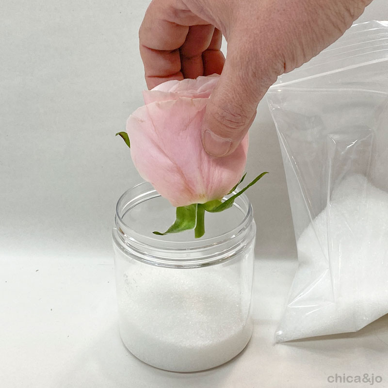 Drying and Preserving Flowers with Silica Gel