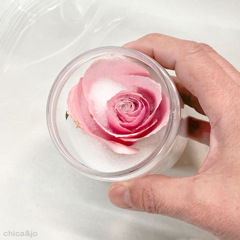 How to Dry Roses with Silica Gel