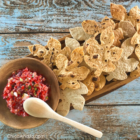 https://www.chicaandjo.com/wp-content/uploads/2015/10/Cranberry-Salsa-and-Tortilla-Leaves-00-480x480.jpg