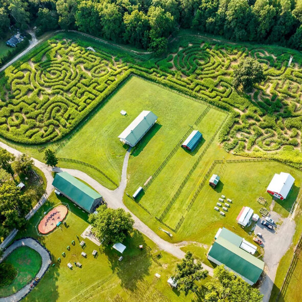 best pumpkin patches in maryland - montpelier farms