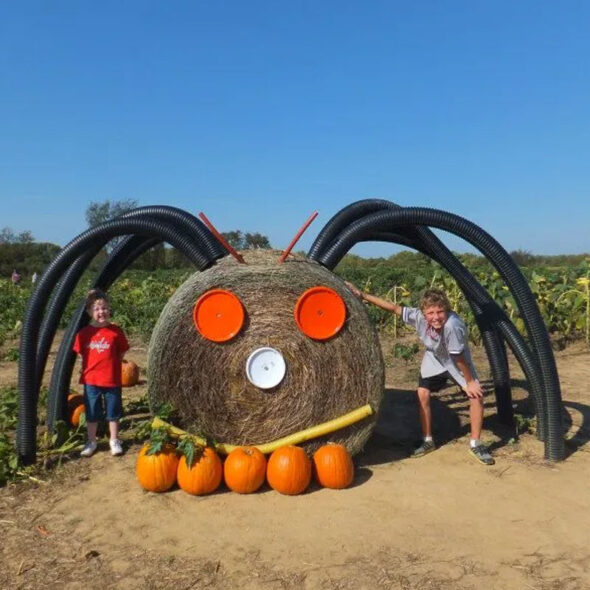 best pumpkin patches in maryland - knightongale farm