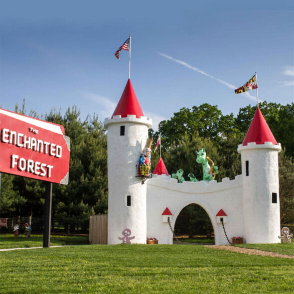 best pumpkin patches in maryland - clark's elioak farm