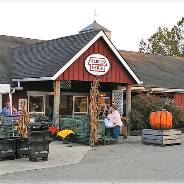 best pumpkin patches in maryland - weber's cider mill farm