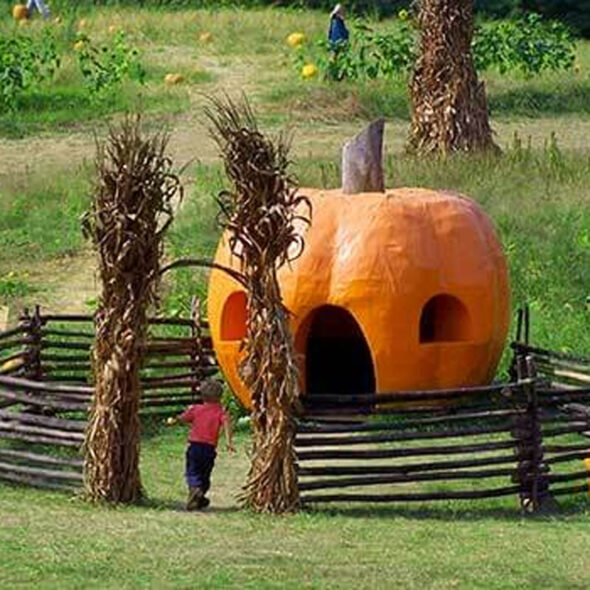 best pumpkin patches in maryland - queen anne farm