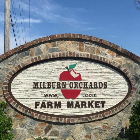 best pumpkin patches in maryland - milburn orchards