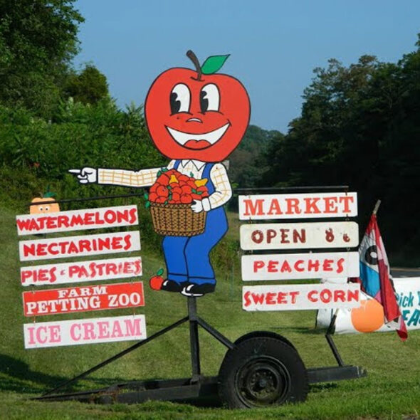 best pumpkin patches in maryland - baugher's orchards and farm