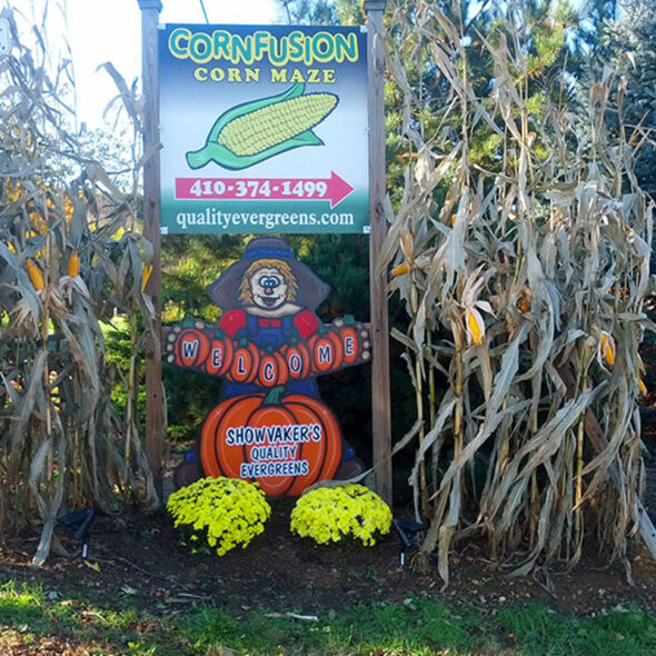 best pumpkin patches in maryland - cornfusion corn maze