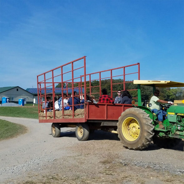 best pumpkin patches in maryland - rock hill orchard