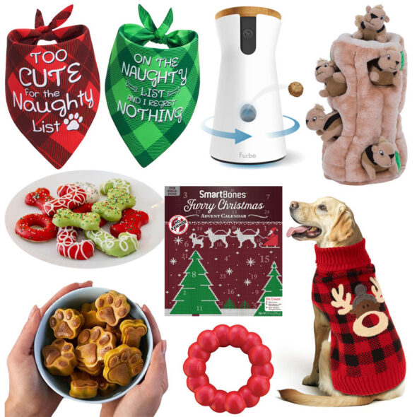 25 Best Christmas Gifts for Dogs and Dog Lovers (2024)