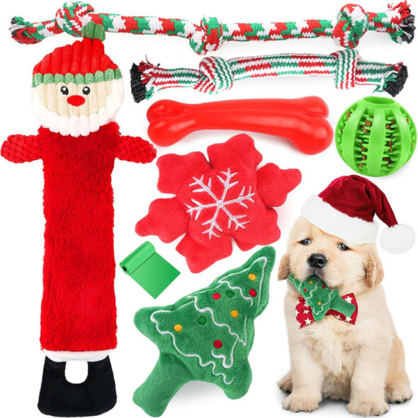 best christmas gifts for dogs