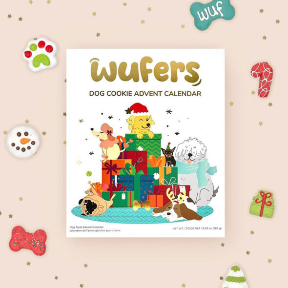 best christmas gifts for dogs